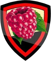 BEST-TEAM Leśno